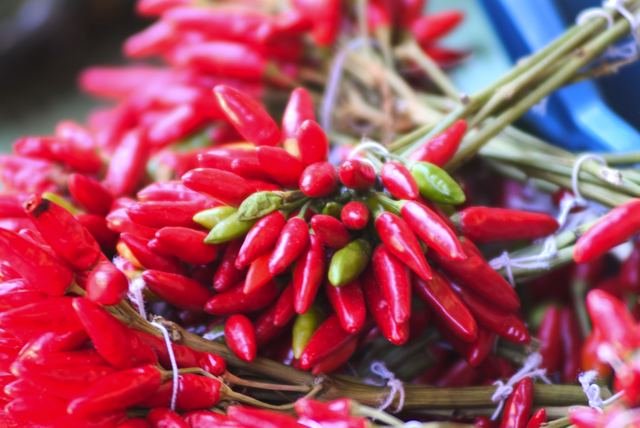 Rote Chilischoten