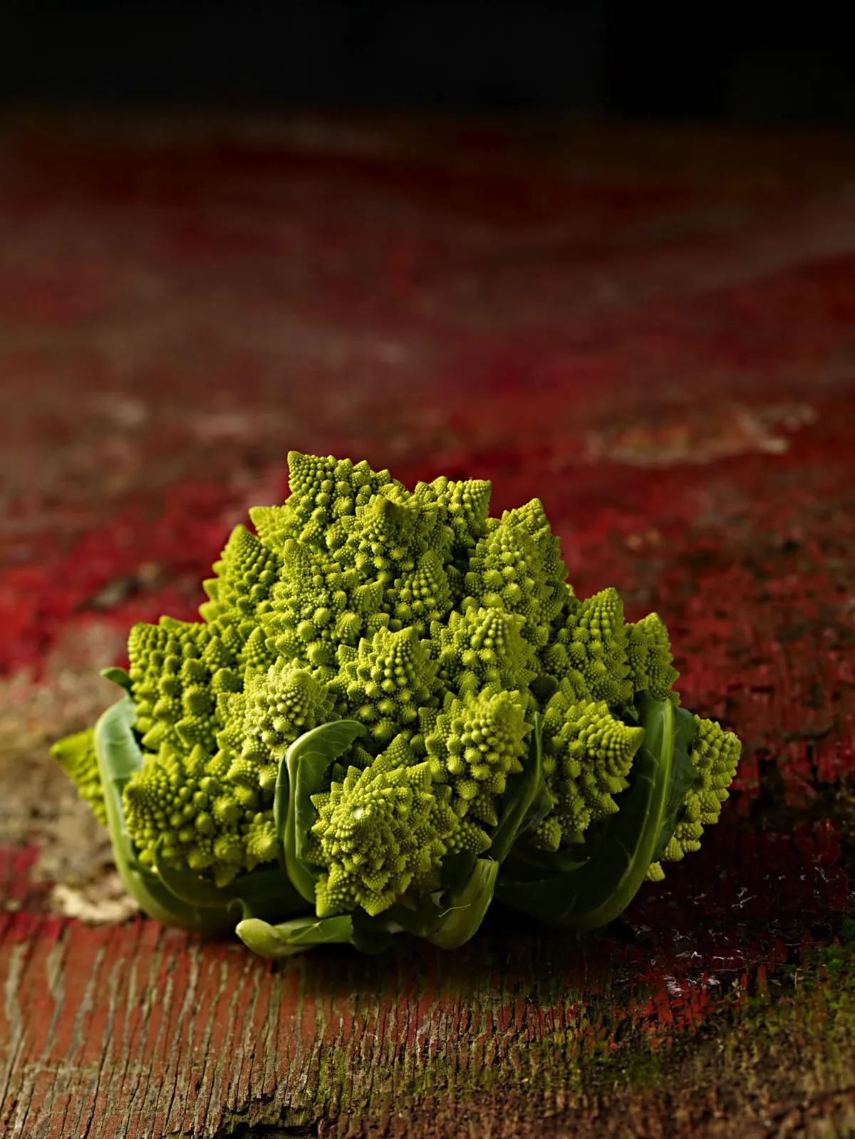 Romanesco auf rotem Holz